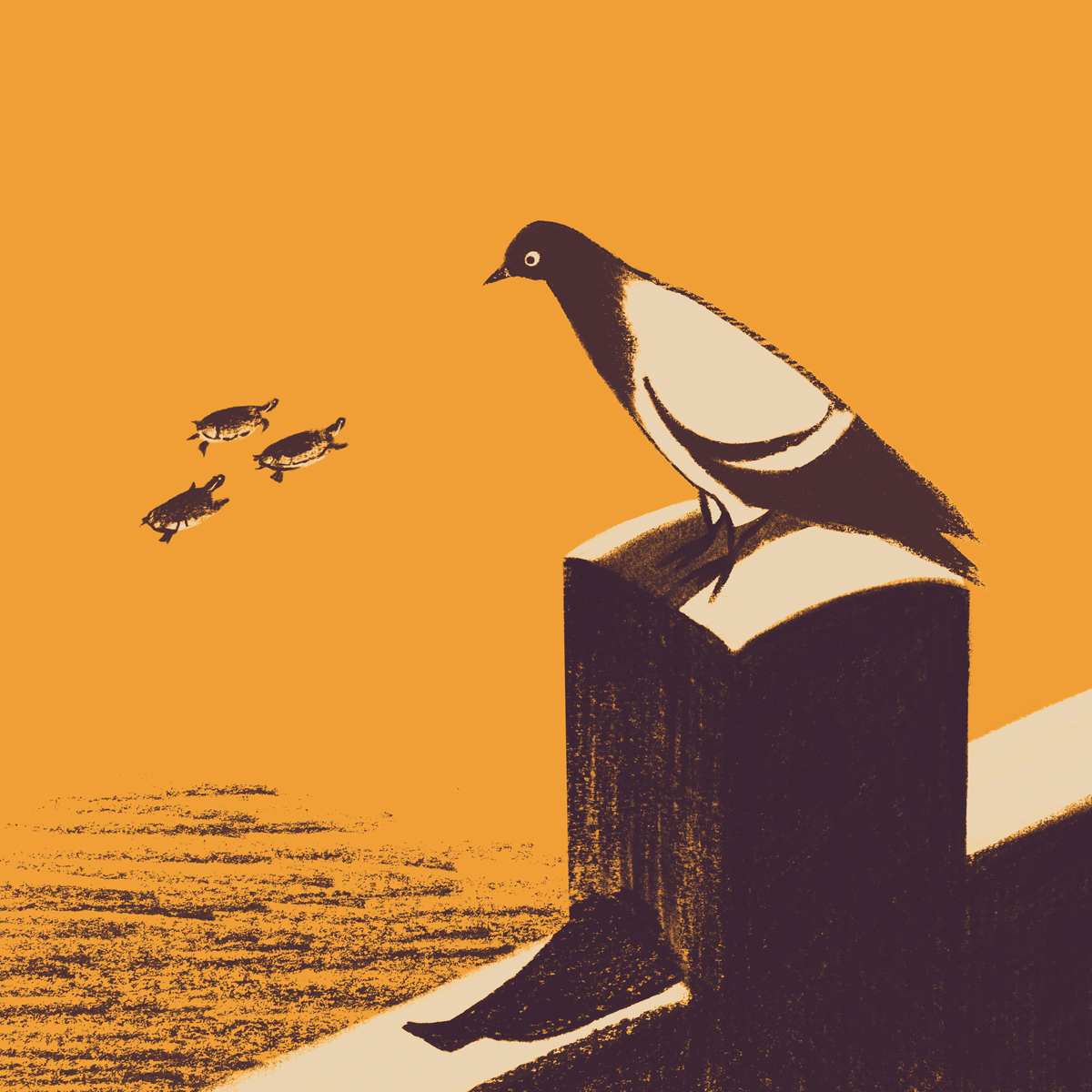 kame and hato